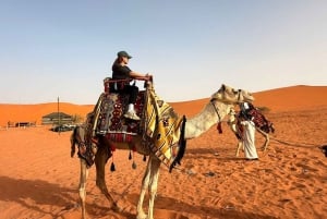 Riyadh: Tur til de røde sandklitter med quadbike og kameltur