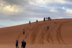 Riad: Punaisen hiekkan safari ja leiri