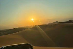 Riyadh Red Sands Tour : dune bashing & camel riding.