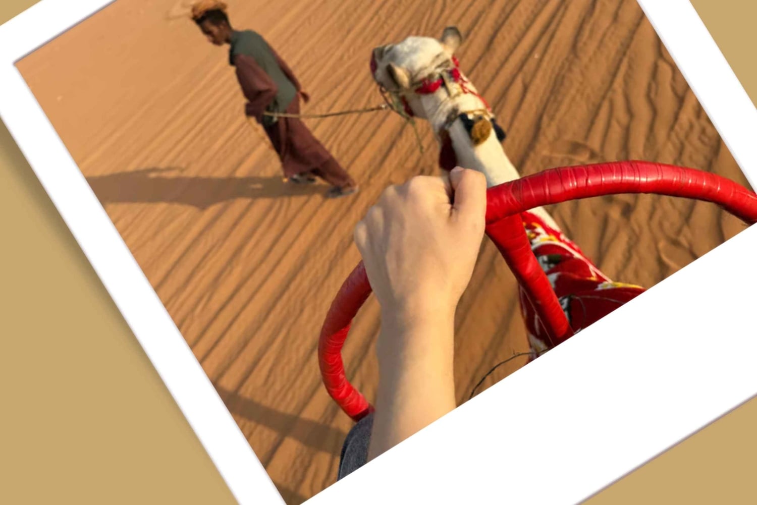 Riad: paseo en camello, quad, kashta al atardecer y cena