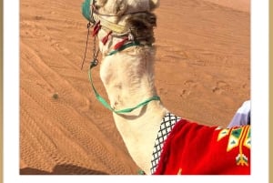 Riad: paseo en camello, quad, kashta al atardecer y cena