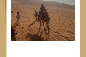 Riad: paseo en camello, quad, kashta al atardecer y cena