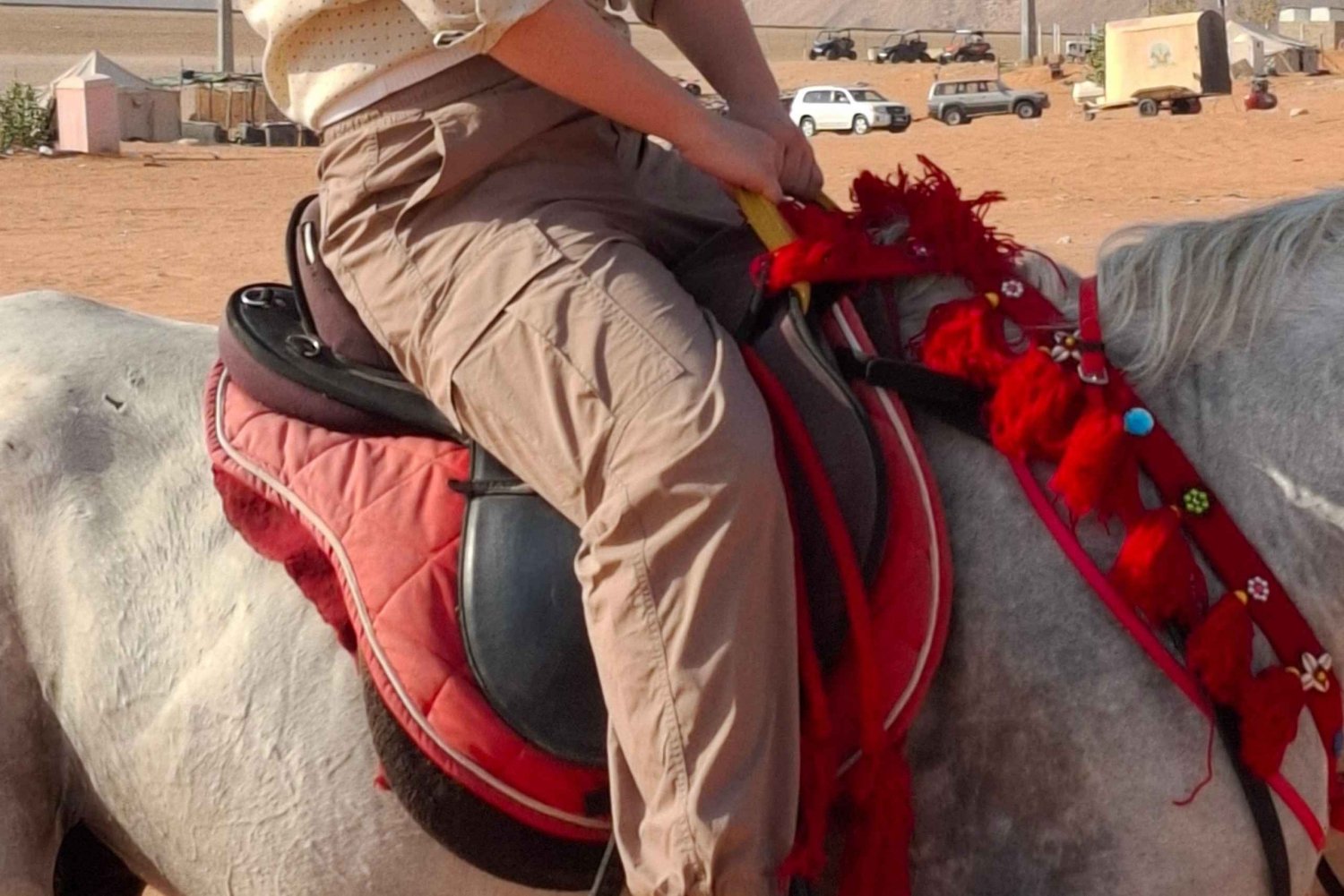 Riyadh : Hiekkadyynit aavikolla ( kameliratsastus + Quad bike )