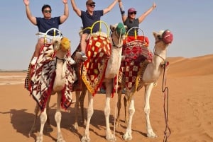 Riyadh : Sand Dunes Desert ( Camel ride + Quad bike )