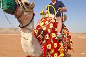 Riyad : désert des dunes de sable (balade à dos de chameau + quad)