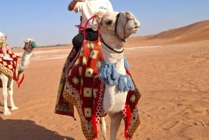 Riyadh : Sand Dunes Desert ( Camel ride + Quad bike )