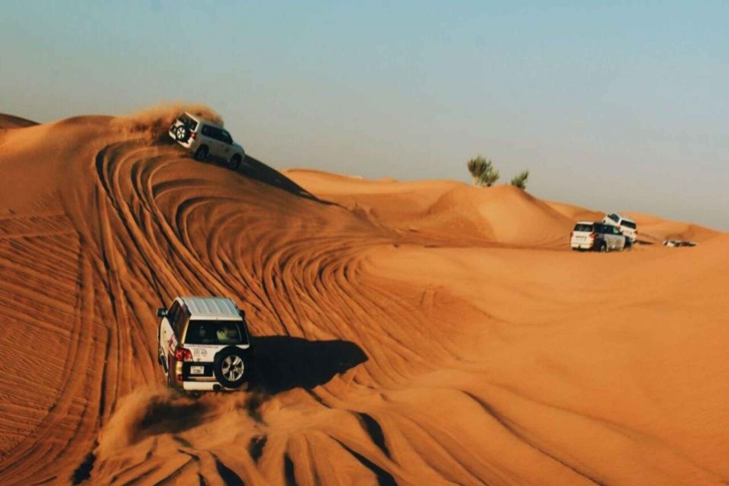 Safari Tour in Riyadh Dune
