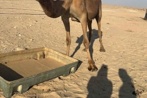 Salalah: safari al tramonto nel deserto di Salalah (tour privato)
