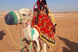 Désert des dunes de sable (VIT-Quid bike + balade à dos de chameau) : Riyad