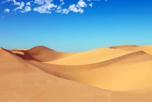 Riyadh: Sand Dunes Desert Safari, Quad Bike, Camel Ride
