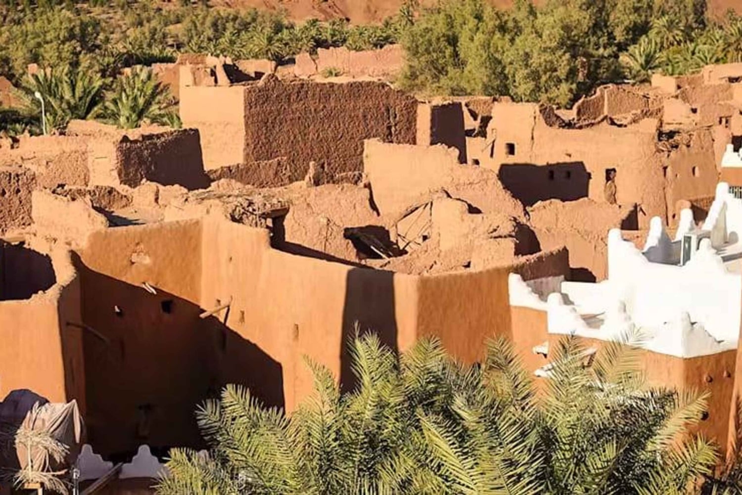 Saudi Arabia: 10-Day Guided Tour with Accommodation