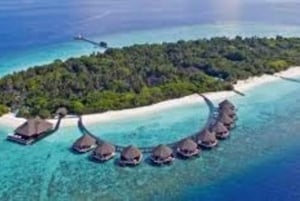 Arabie saoudite : voyage aux îles Farasan