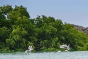 Arabie saoudite : voyage aux îles Farasan