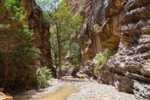 Arabia Saudí: Excursión de un día al rico patrimonio de Jazan