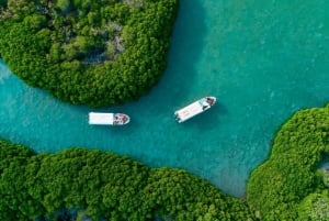 サウジアラビア：ジーザーンの豊かな遺産の日帰り旅行