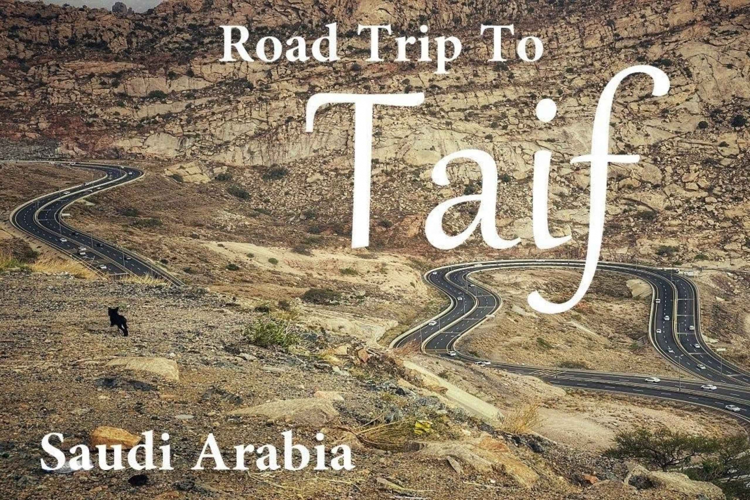 Arabia Saudí: Tour de la ciudad de Taif
