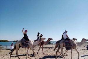 Sharm El Sheikh : Méga safari en quad Parasailing Bateau de verre Déjeuner