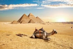 Sharm El Sheikh: Cairo Day Trip with Pyramids and Lunch