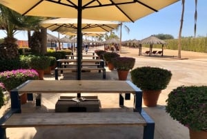 Sheraton Red Sea Resort Swimming and Snorkeling Entry Ticket