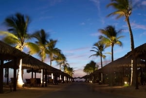 Sheraton Red Sea Resort Swimming and Snorkeling Entry Ticket