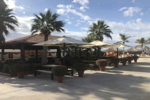 Sheraton Red Sea Resort Swimming and Snorkeling Entry Ticket