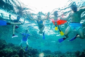 Snorkeling Trip In Jeddah