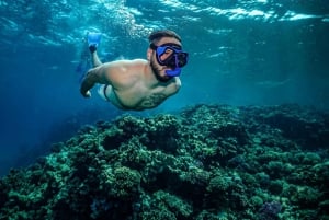 Snorkeling Trip In Jeddah