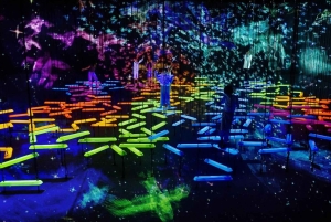 Step Into a Borderless World at teamLab Borderless Jeddah