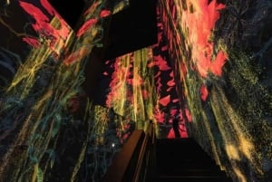Step Into a Borderless World at teamLab Borderless Jeddah