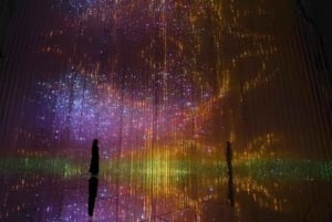 Step Into a Borderless World at teamLab Borderless Jeddah