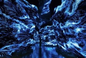 Step Into a Borderless World at teamLab Borderless Jeddah