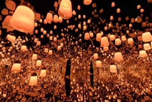 Step Into a Borderless World at teamLab Borderless Jeddah