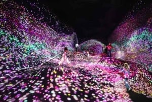 Step Into a Borderless World at teamLab Borderless Jeddah