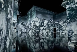 Step Into a Borderless World at teamLab Borderless Jeddah