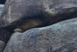 Tabuk: 2-daagse tour langs oude bezienswaardigheden met lunch