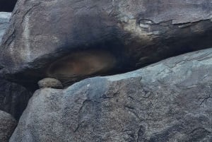 Tabuk: 2-Day Ancient Landmarks Tour with Lunch