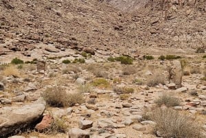 Tabuk: 2-Day Ancient Landmarks Tour with Lunch