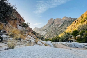 Taif: Al-Makhadah Valley Hiking Tour with Snacks
