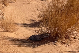 UNESCO-Weltkulturerbe: Wüstenexpedition nach Bani Ma'arid und AlFaw