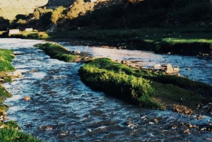 Retki Kings Resort Jeddahista Taifiin, Al Hadaan ja Shafaan.