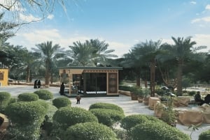 Mezza giornata VIP a Riyadh: Diriyah, Shamlat Art Center, JAX.