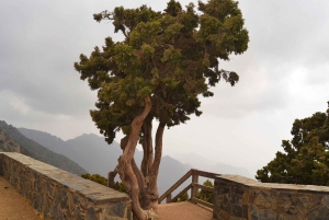 Visita la antigua aldea de Rijal Almaa