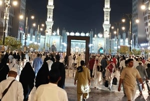 Visiting Site for Horses of Medinah