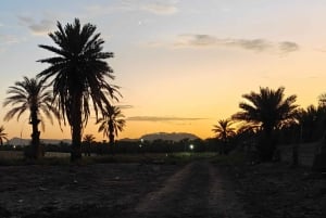 Sitio de visita de los Caballos de Medinah