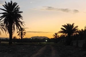 Sitio de visita de los Caballos de Medinah