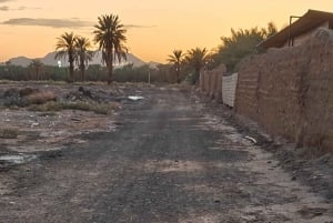 Sitio de visita de los Caballos de Medinah