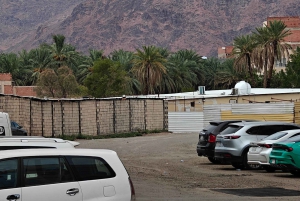 Sitio de visita de los Caballos de Medinah