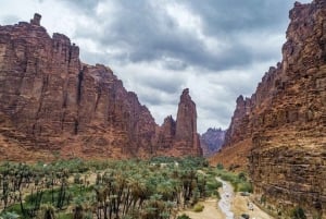 Однодневный тур в Вади Аль Диса из Аль Улы