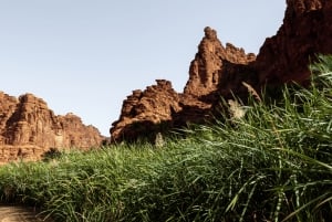 Wadi Disah Adventure (from Al Ula)