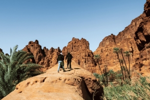 ワディ・ディサ・アドベンチャー（アル・ウラ発）